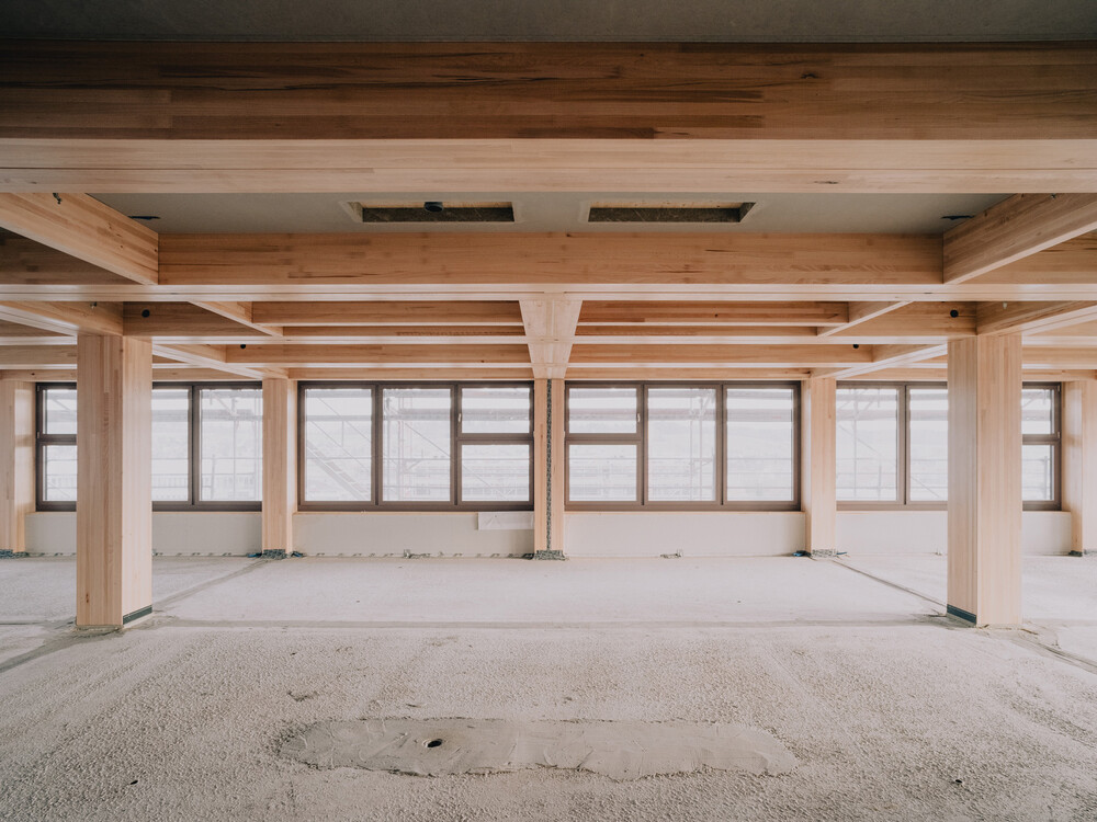 Bleiben sichtbar: Die Stabholzträger prägen den Innenraum der Wohnungen im Holzhochhaus.